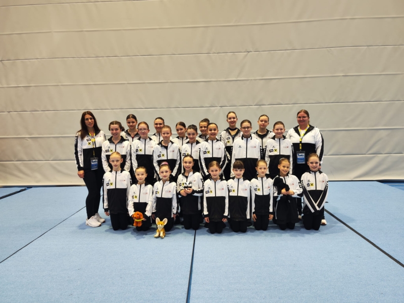 6c5e5748-d779-4239-bda2-ccd4fdf8866d